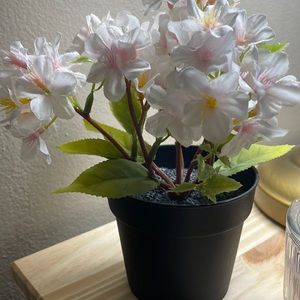 Meet your Posher, Jaspreet